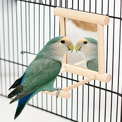 Bird Mirror Toy Hanging Swing for Small Parrot