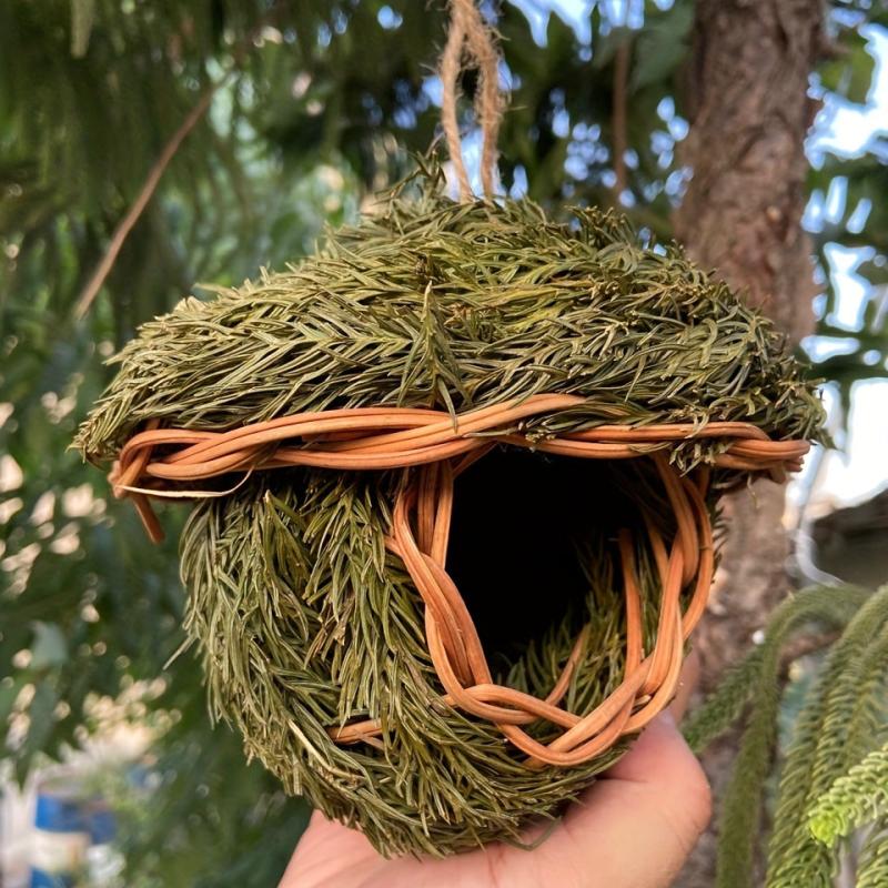 Hand Woven Grass Birdhouse for Hummingbirds & Parrots