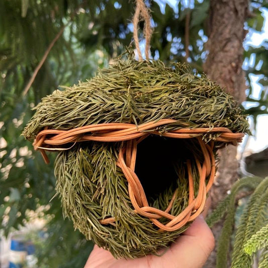 Hand Woven Grass Birdhouse for Hummingbirds & Parrots