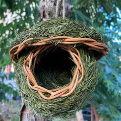 Hand Woven Grass Birdhouse for Hummingbirds & Parrots
