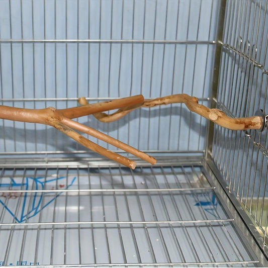 Wooden Bird Station Stick Fork Shape Parrot Toy