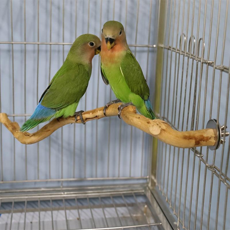 Wooden Bird Station Stick Fork Shape Parrot Toy