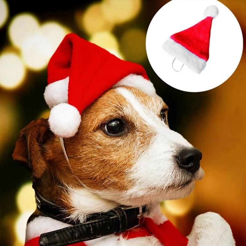 Festive Suede Santa Hat for Your Pet