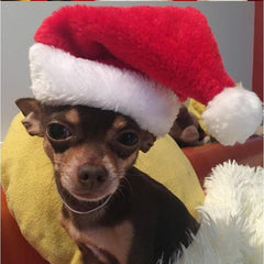 Festive Suede Santa Hat for Your Pet