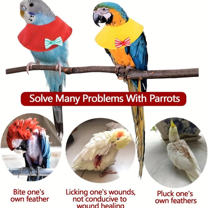 Adjustable Parrot Collar Elizabethan Bird Protection Cone