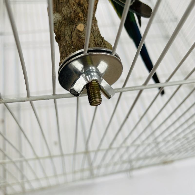 Bird Feeding Station with Durable Wood Pole