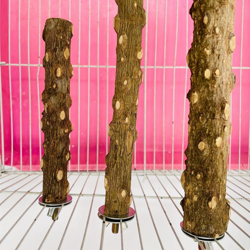 Bird Feeding Station with Durable Wood Pole