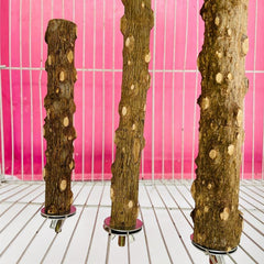 Bird Feeding Station with Durable Wood Pole