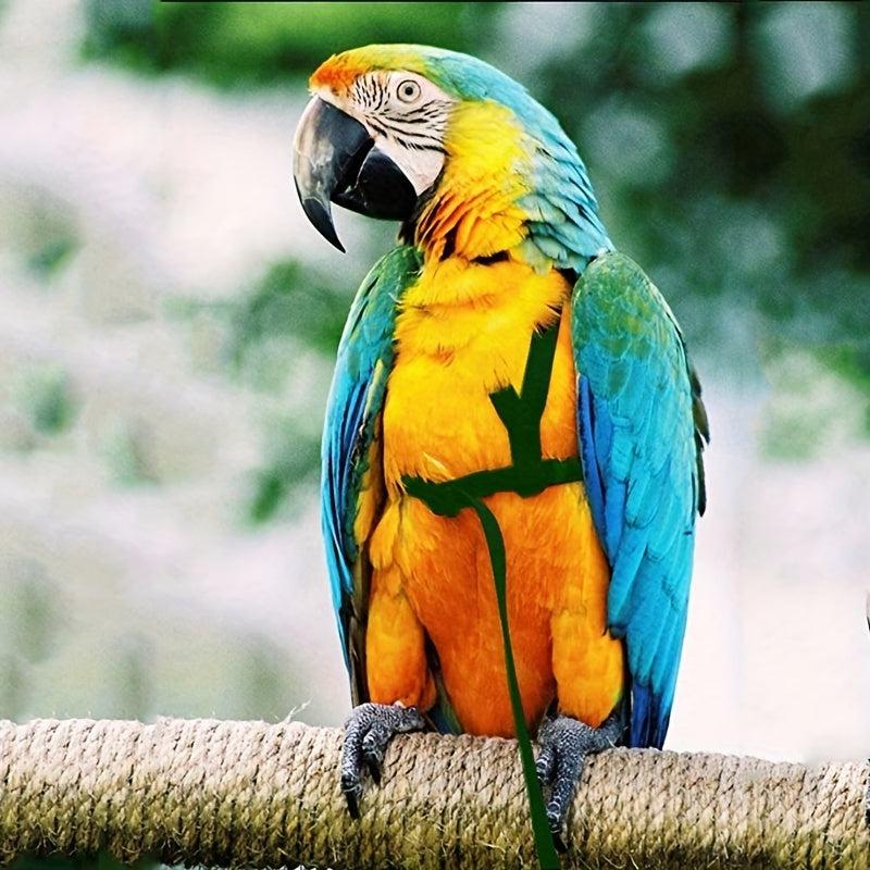 Parrot Bird Harness With Leash for Outdoor Flying Training