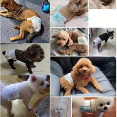 Dog Diapers Anti Mating Physiological Pants