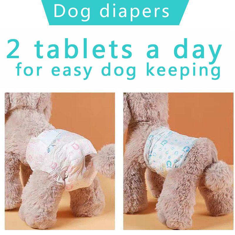 Dog Diapers Anti Mating Physiological Pants