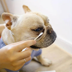 300-600 Pet Cotton Swabs Wooden Handle Cat Dog Ear Cleaning