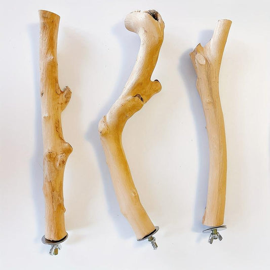 Natural Parrot Perch Bird Station Tree Stick Paw Grinding Climbing Branch Toy
