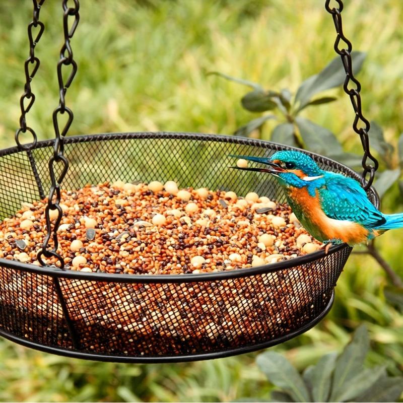 Metal Outdoor Hanging Bird Feeder Tray for Garden
