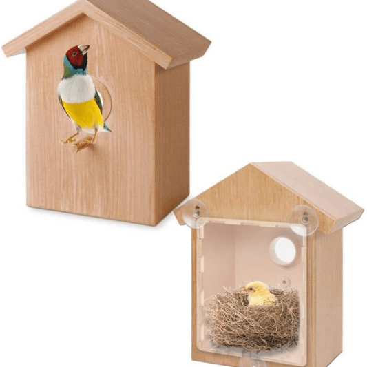 Stylish Bird House Bird Feeder for Garden