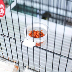 6pcs Bird Feeder Hanging Transparent Bowls For Parrot Pigeon Bird