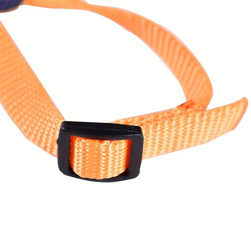 Adjustable Colorful Parrot Harness With Leash for Small Pets