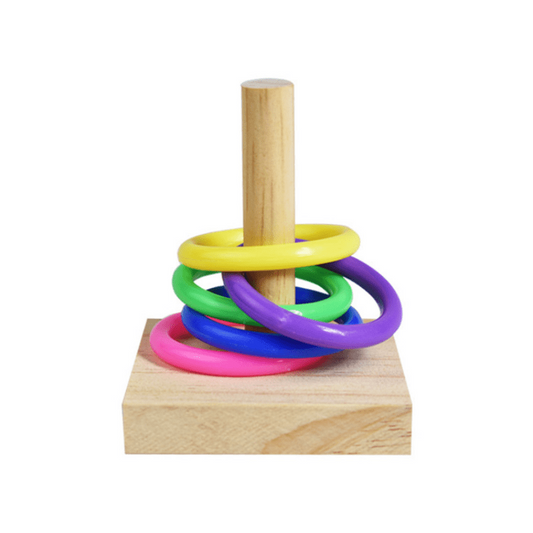 Colorful Plastic Parrot Training Toy for Chew Toys