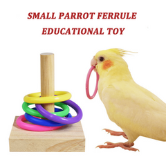 Colorful Plastic Parrot Training Toy for Chew Toys