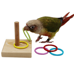 Colorful Plastic Parrot Training Toy for Chew Toys