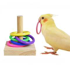 Colorful Plastic Parrot Training Toy for Chew Toys