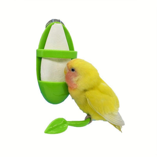 Cuttlefish Bird Feeder for Attracting Wild Birds