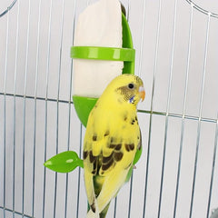 Cuttlefish Bird Feeder for Attracting Wild Birds