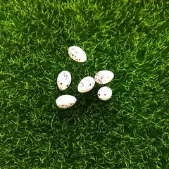 10pcs Simulated Striped Bird Eggs Toys - Easter Decorations