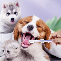 3pc Pet Silicone Toothbrush Set Soft Bristle Dog Teeth Tongue Cleaning Brush