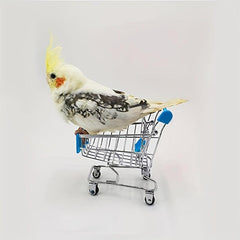 Bird Shopping Cart & Skateboard Play Set - Fun & Training