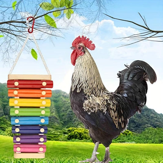 Fun and Durable Toys for Your Pet Parrot