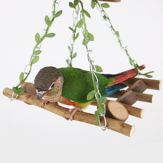 Parrots Coconut Hammock Swing Bridge Bird Swing