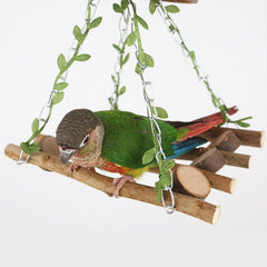 Parrots Coconut Hammock Swing Bridge Bird Swing