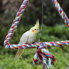 Colorful Bird Triangle Rope Swing for Parrot Chewing Climbing Toy