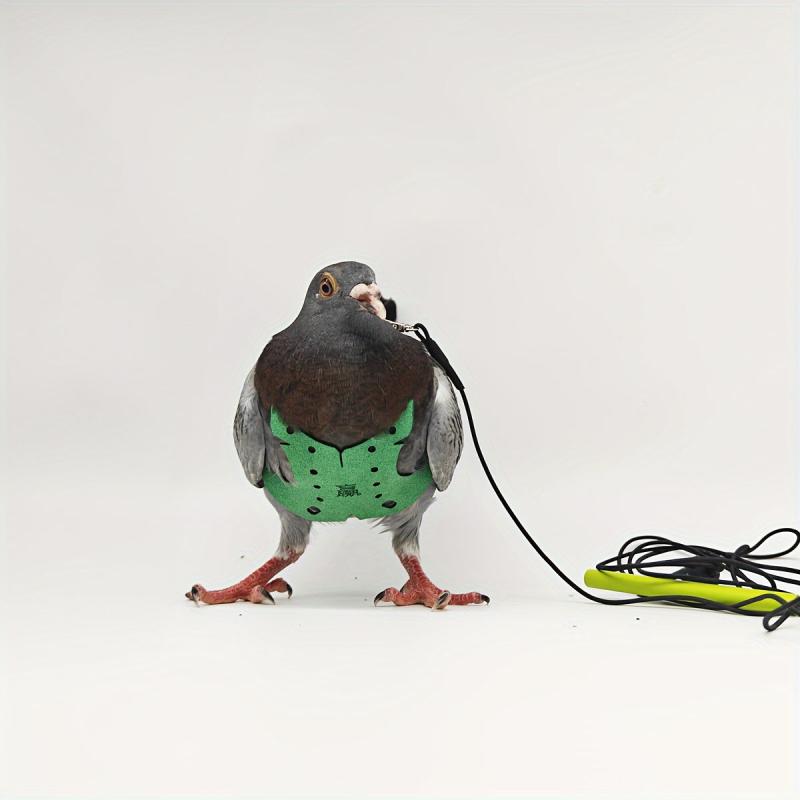 Pigeon Flying Rope Bird Clothes Pigeons Vests Pigeon Supplies Pigeon Training
