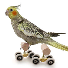 6pcs Bird Training Toys Roller Skate Stacking Rings Bell Balls