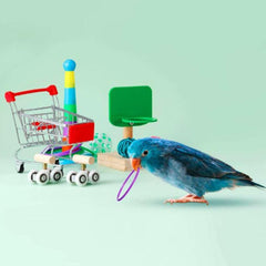 6pcs Bird Training Toys Roller Skate Stacking Rings Bell Balls