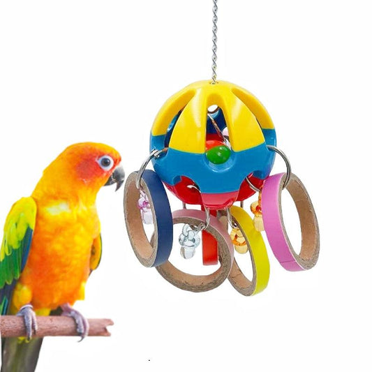 Parrot Plastic Ball Toy With Cardboard Bagel For Cage Bird Chew Toy