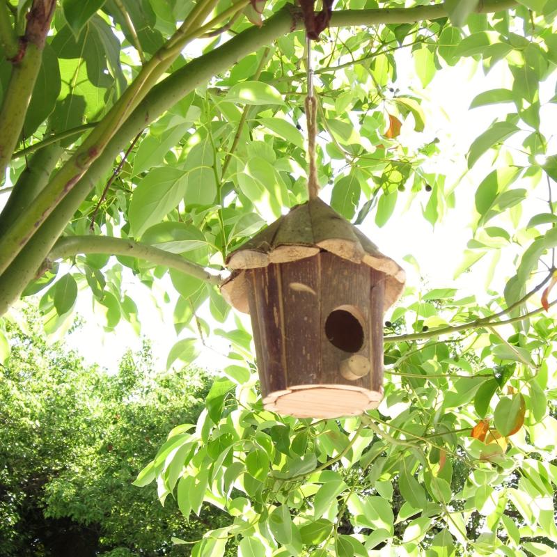 Outdoor Hanging Wooden Bird House for Small Birds
