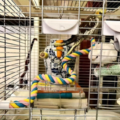 Colorful Bird Climbing Rope Cage Perch Stand for Parrot