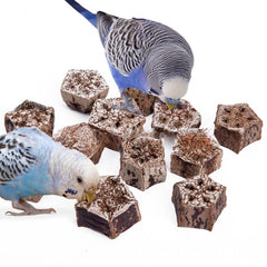 12pcs Pet Parrot Natural Grinding Toys Bird Chew Toys Dried Fruit Blocks