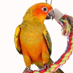 Colorful Climbing Rope Swing Parrot Stand With Bell