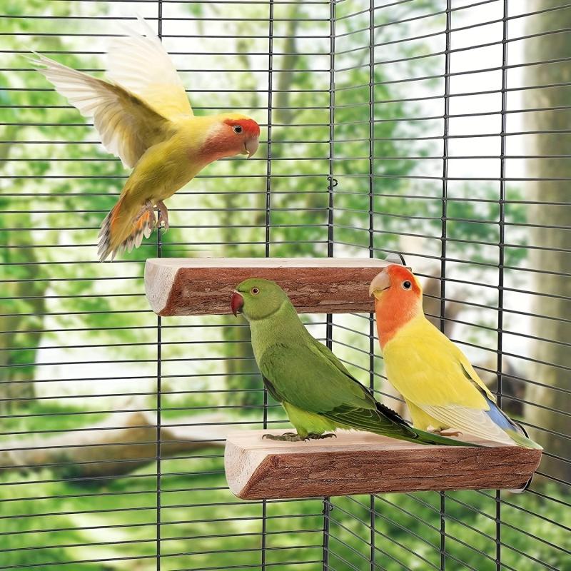 Wooden Parrot Stand Swing Bird Toy