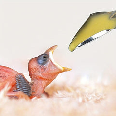 Small Bird Feeder Spoon Stainless Steel for Baby Birds