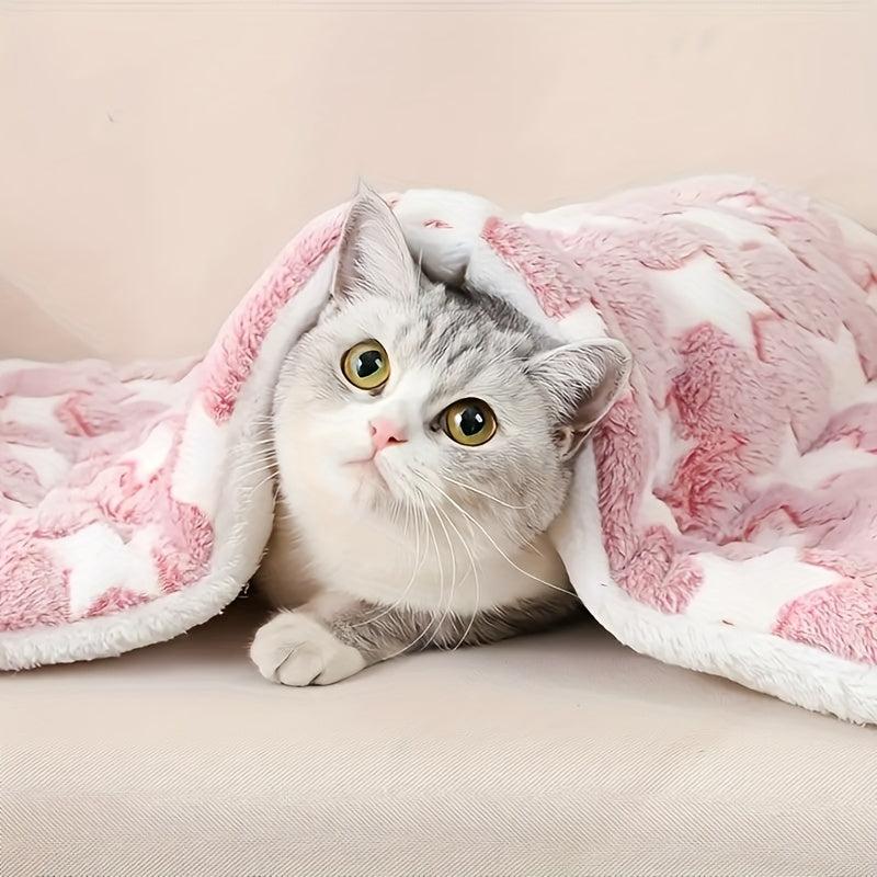 Warm Plush Flannel Pet Mats Thickened Cushion