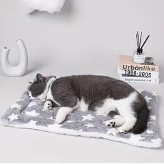 Warm Plush Flannel Pet Mats Thickened Cushion