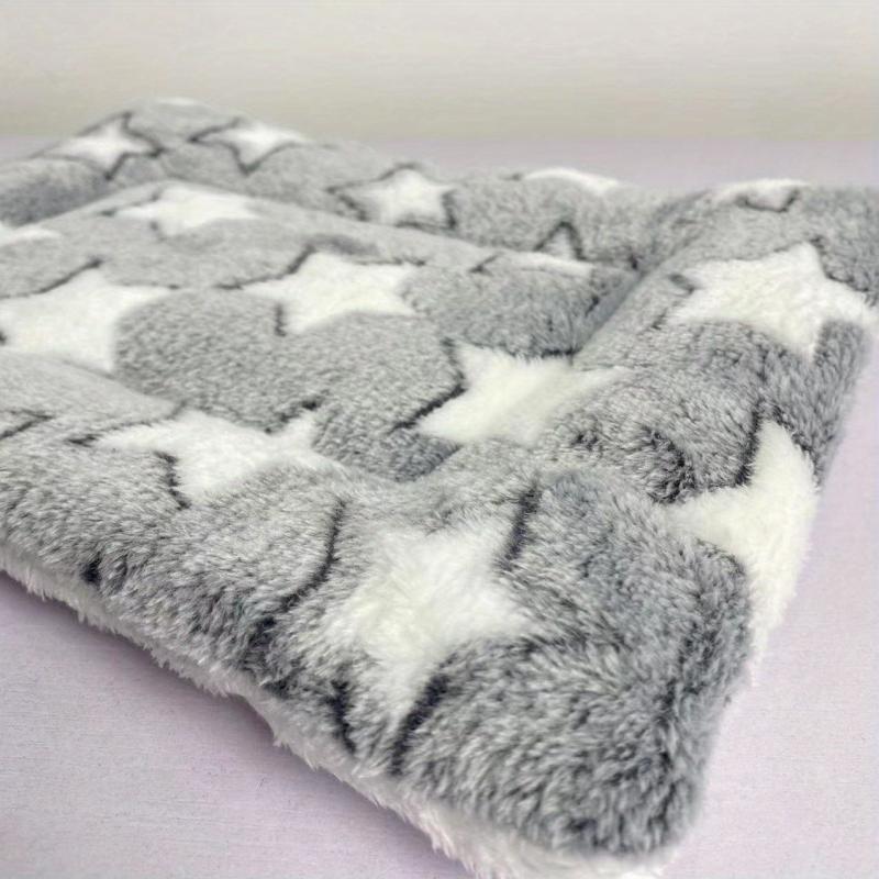 Warm Plush Flannel Pet Mats Thickened Cushion