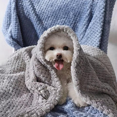 Pet Blanket for Cats & Dogs Small Blanket Cat Dog Sleeping Pad Soft Comfortable