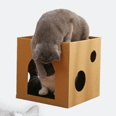 Durable Cat Scratching Cardboard - Double Layer Cat Scratcher House