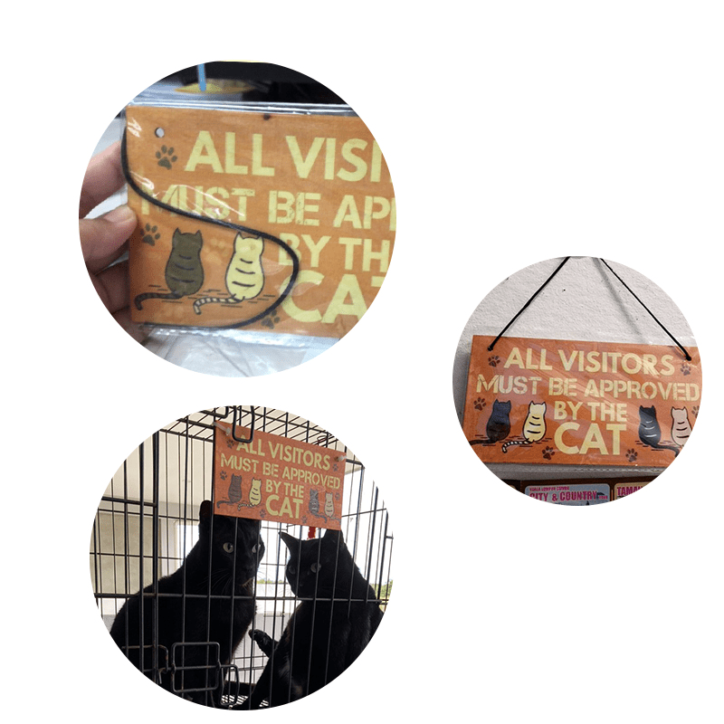 Wooden Pet Sign: Personalize Your Cat's Home